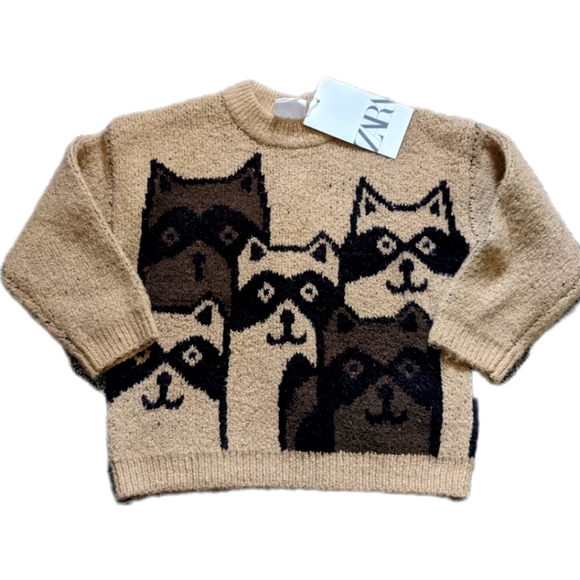 Zara Other - NWT ZARA Raccoon Boys Sweater
